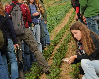 Students inspect crops on a farm