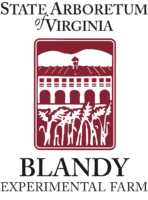 Blandy Experimental Farm