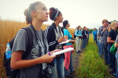 Birding Activity