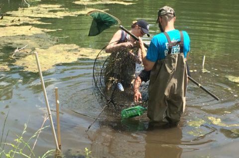 Two students stand in river collecting samples with nets
