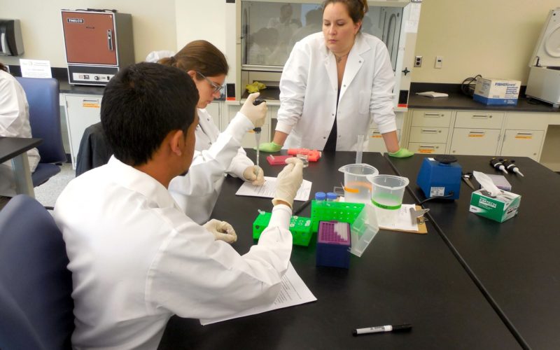Lab manager Sarah Putman guides students handling DNA samples
