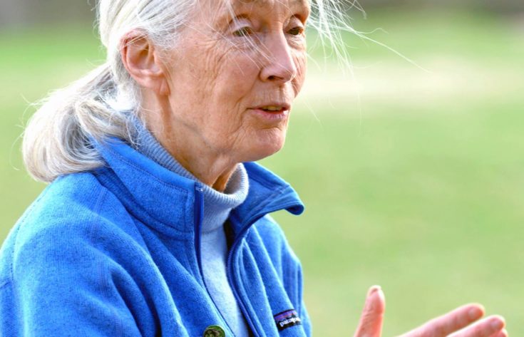 Jane Goodall speaks at SMSC campus
